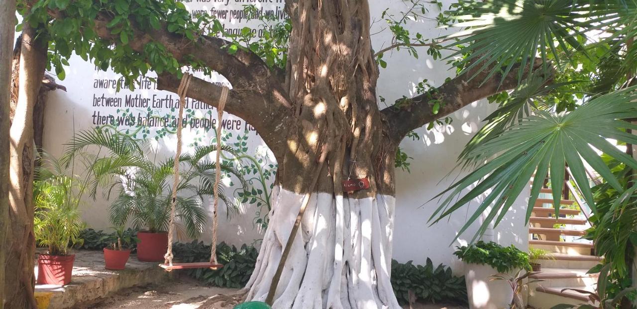 Hotel Posada Sian Kaan Playa Del Carmen Ngoại thất bức ảnh